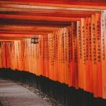shrine, path, temple, shinto shrine, fushimi inari taisha shrine, senbon torii, asia, kyoto, japan